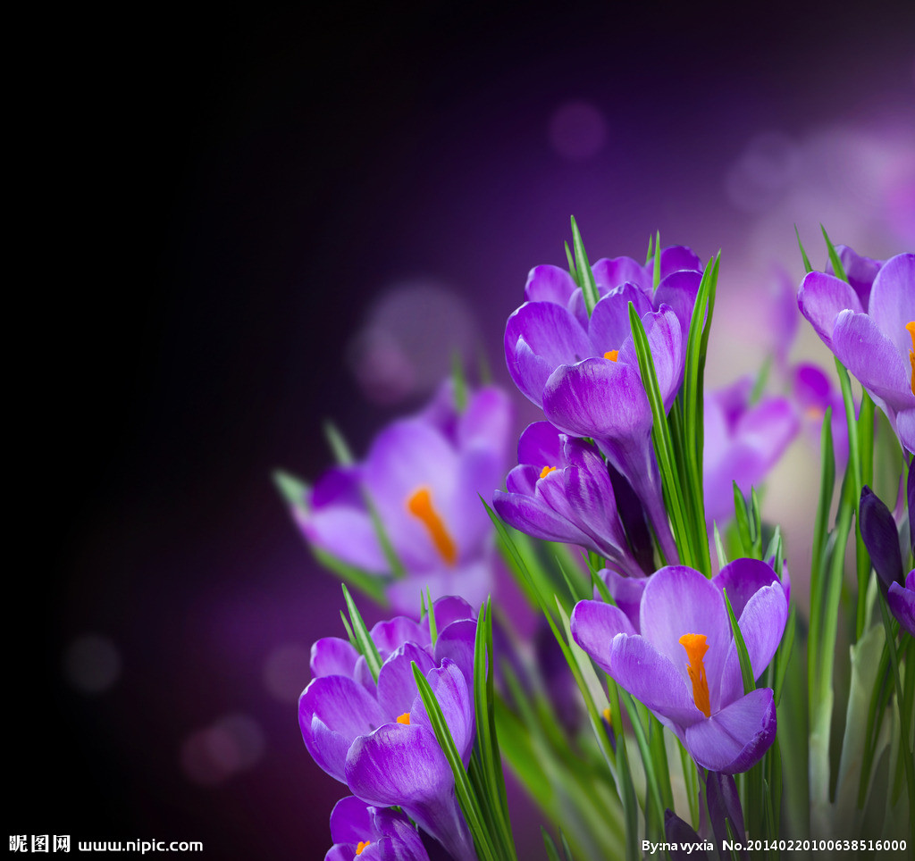 pic38.nipic.jpeg