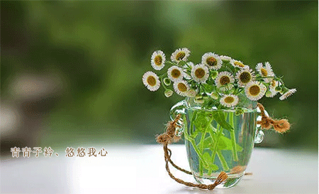 b4429c7f3a3484ef8e27c8c9ce068278df7b0ef714654-VCnMOe.gif