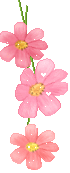 403d914f0da24460.gif