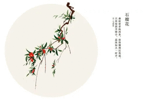 gaitubao_u=2130929584,2577719909_gaitubao_299x212.gif