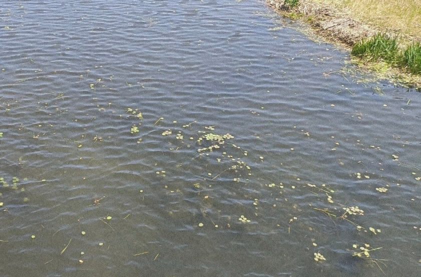 IMG_20220520_113604.jpg