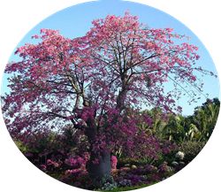 src=http___bkimg.cdn.bcebos.com_pic_43a7d933c895d143b11510a77df082025baf07d6&amp;r.jpg