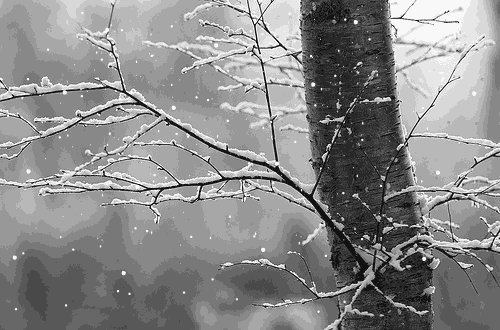 QQͼƬ20181207130730.gif
