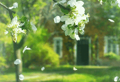 mmexport1544918284311.gif
