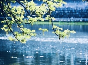 13ED1A40-B8C7-4E79-B8A7-16DB6EB31C9C.jpeg