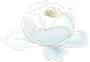 jingtaisucai1 (20).png