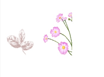 221BC66E-6FC0-46F1-A9D6-6FA52CAB9A0F.jpeg