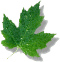 Image_1704087862584.gif