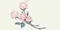 Y054.gif
