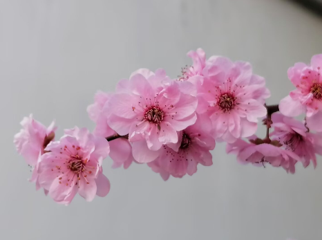 09e53dca-a6b6-4d09-8dab-d1d51f7fbd1d.png