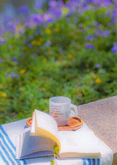 QQͼƬ20250407132852.gif
