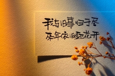 MEITU_20250408_111519195.jpg