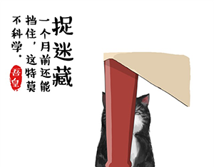 721fe20a0dc14f15758b3a3de1b59058.png