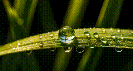 QQͼƬ20250410142646.gif