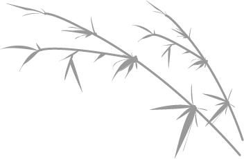 150012zrt6xoyxkr8u6htu.png