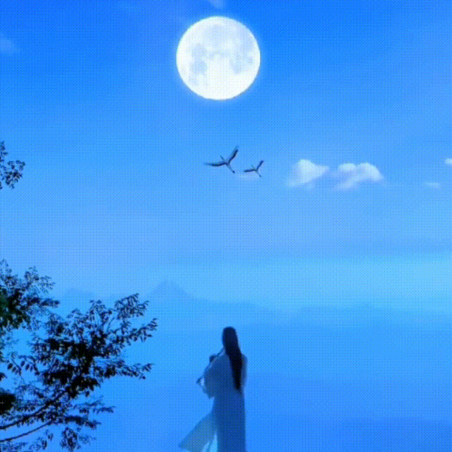 3AF7951C9FFD7C8016BBFB446C6F3F7E.gif