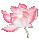 20246920383397746.gif