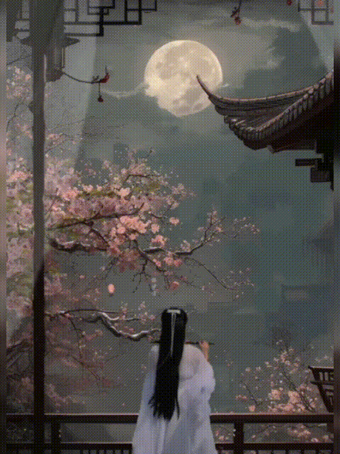 53E2B19E0B82C6D632915678A4C8AA3C.gif