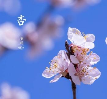 IMG_5555.jpeg