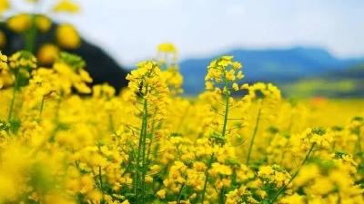 IMG_5539.jpeg