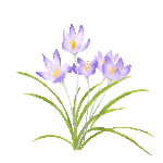 zhuangshi1 (13).gif