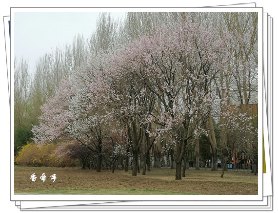 0F7CDDC9B8B7A94F939BE674767E7316_����.jpg