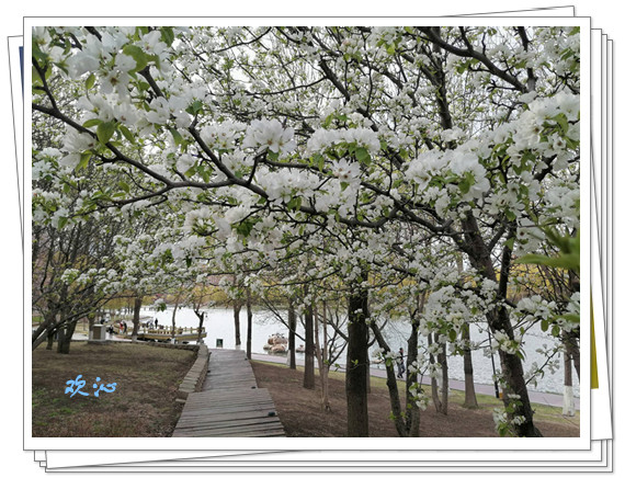 F7131EE97B4E56FD52D7C7C13E0CE024_����.jpg