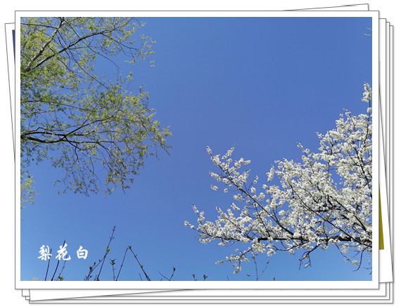 DA3047ABB02C55B4D721B2EB6DBCAE90_����.jpg