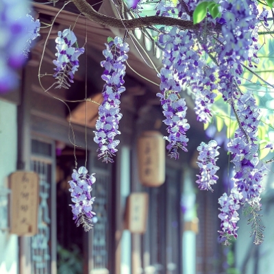 MEITU_20260505_162935341.jpg